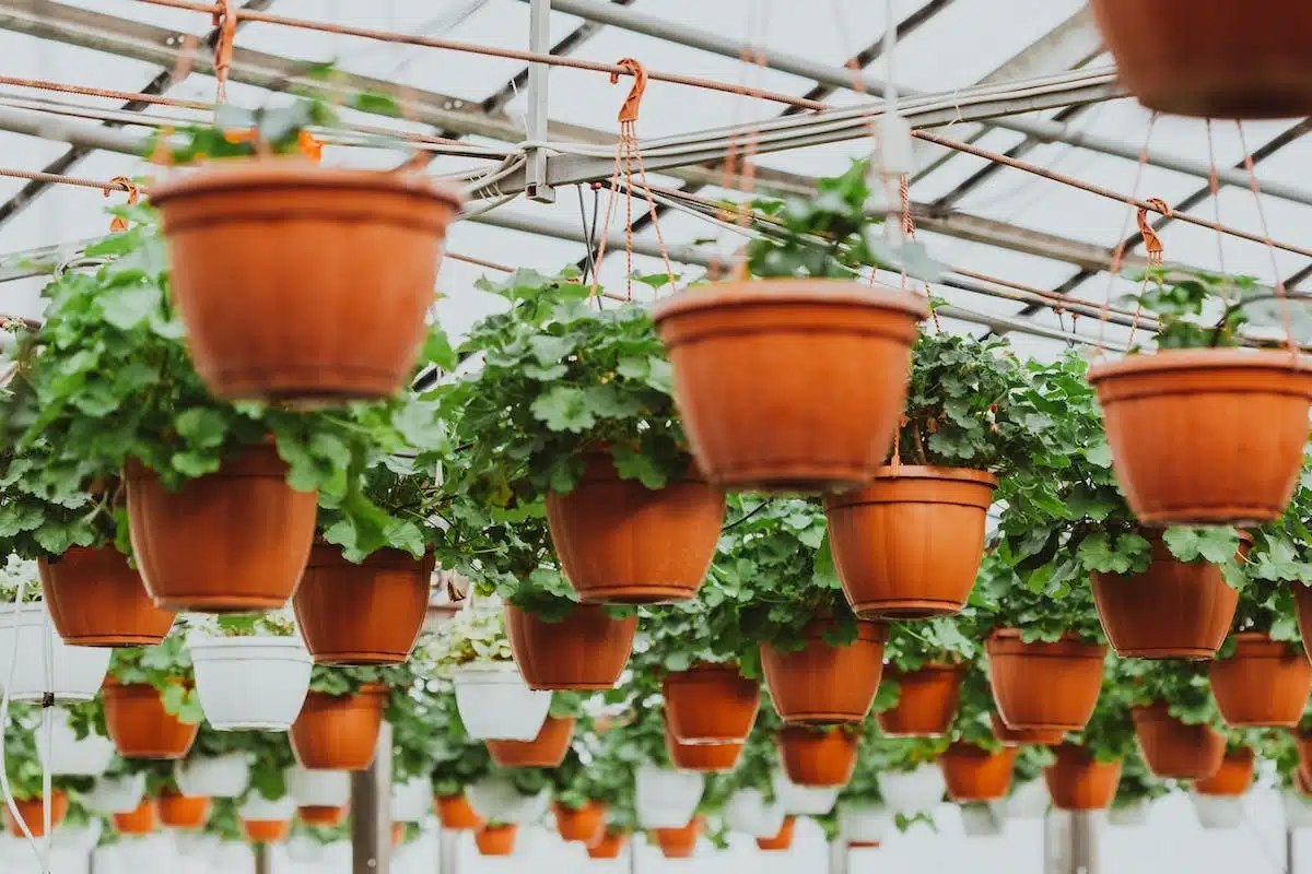 potager balcon