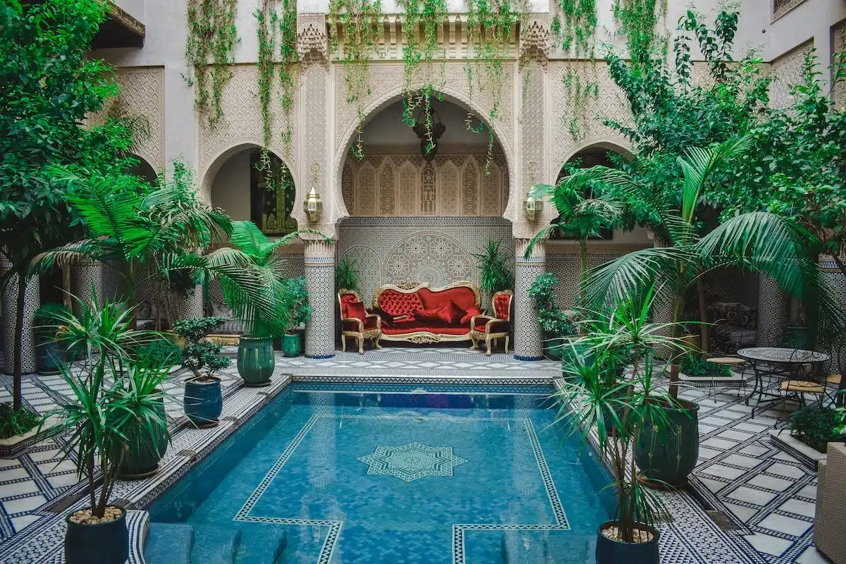 piscine  design